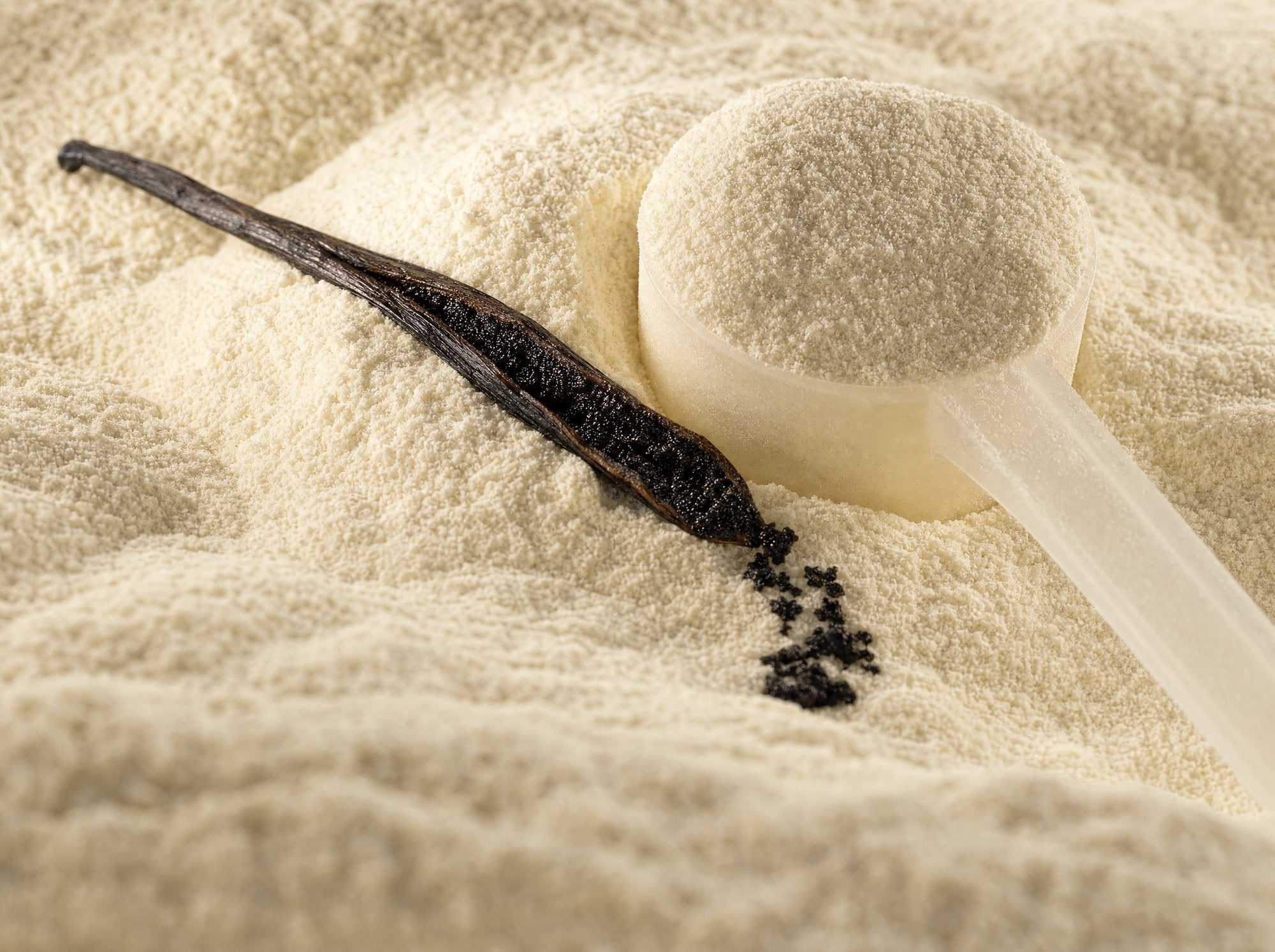 Macro of cream-white protein powder with a split vanilla pod and the 60cc scoop